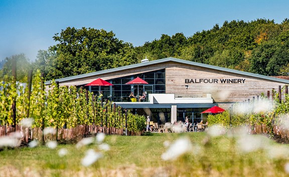 Balfour Winery